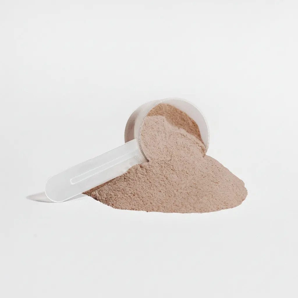 Plant Protein (Chocolate) - EB7
